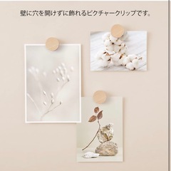 DESIGNPHIL ミドリ(MIDORI） クリップ ピクチャークリップ 木製 ナチュラル 35497006の画像