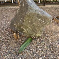日本庭園の岩