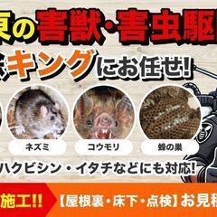 害虫　害獣　駆除【業務委託】
