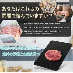 新品✨解凍プレート 急速解凍プレート スピード解凍 自然解凍 簡...