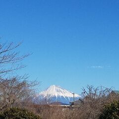 プチ登山やハイキングできる方(３月～)