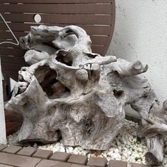 流木