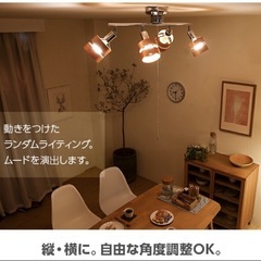 シーリングライトの画像