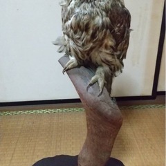 【取引終了】 置物