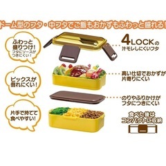 2段お弁当箱　600mlの画像