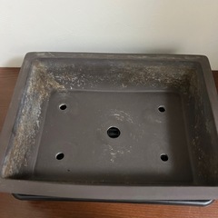 盆栽　鉢の画像