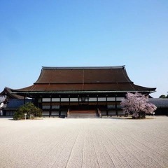 ウォーキングサークル🚶‍♀️