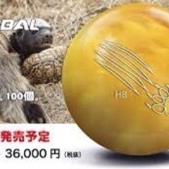 ボウリングボール15ポンド