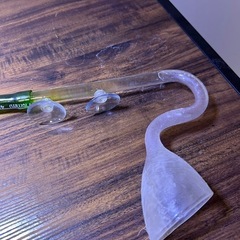 熱帯魚、エビ、アクアリウム用品譲ります(水槽無料)の画像