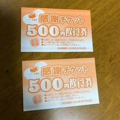 ⚠️2/28迄の有効期限⚠️カラオケとまとの500円飲食券2枚 