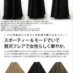 antiqua       フレアジップスカートの画像
