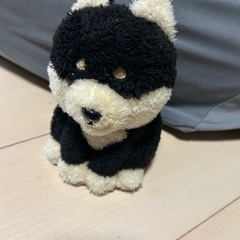 犬　おもちゃ　