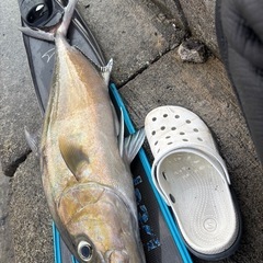 魚突き・スピアフィッシングに興味のある方