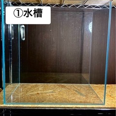 水槽(JUN)＋おまけ