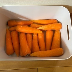 へきなん美人　規格外にんじん🥕　　大量 ②の画像