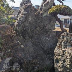 庭石差し上げますの画像