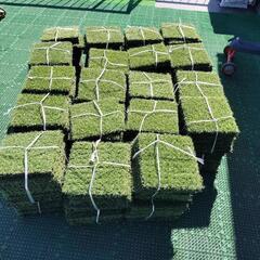 人工芝(ジョイント式)