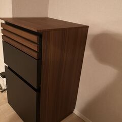 【3/8までの販売】ディノス取扱い 　AlusStyle/アルス...