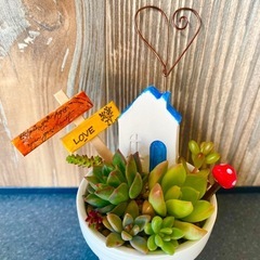 ミニ多肉寄せ植え小物セット①の画像