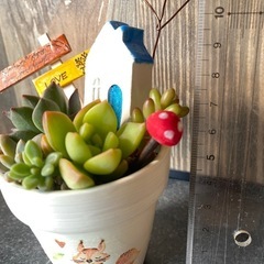 ミニ多肉寄せ植え小物セット①の画像