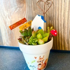 ミニ多肉寄せ植え小物セット①