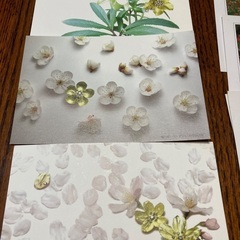 ポストカード色々　の画像