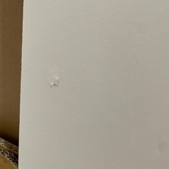 【お譲り先決定しました】下駄箱 靴棚 シューズボックス 大型 ホワイト　美品