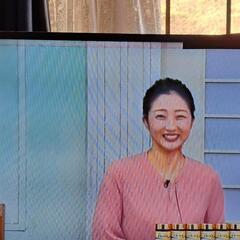 (お話し中)Hisense43型2019年式難有りの画像