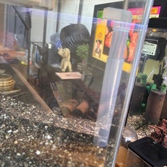 45センチ水槽　上部、底面フィルター（内容変更）の画像