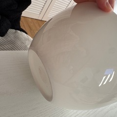 大きいサラダボウル皿の画像