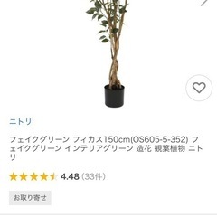 【3月4日まで】フェイクグリーン フィカス150cm フェイクグリーン 造花 観葉植物 ニトリの画像