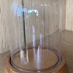 ガラスドーム