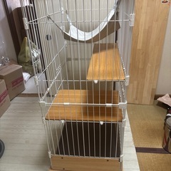 キャットゲージ(取引中)の画像