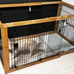 犬のケージ