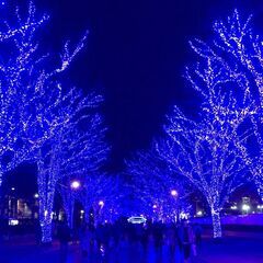 📢急募📢3月1日(土)～3月22日(土)💫短期でも!長期でも大歓...