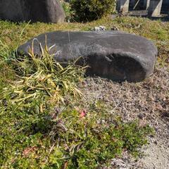 庭石の画像