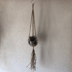 プラントハンガーの画像