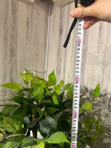 造花観葉植物