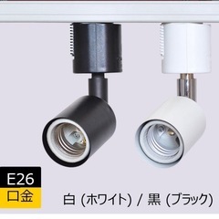 ダクトレール用スポットライト 2点セットの画像