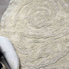 Free Large Wool Area Rug Today Only