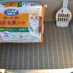 猫用　ペットトイレ　花王