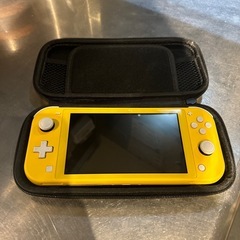 Nintendo switch light　