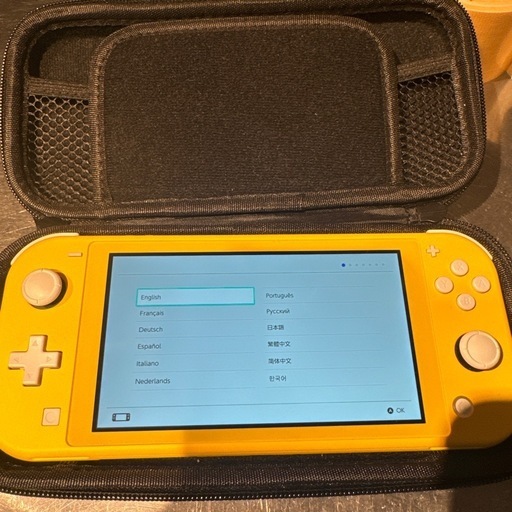 Nintendo switch light　