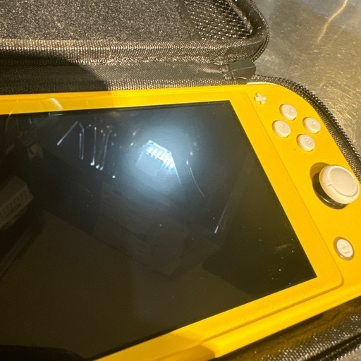 Nintendo switch light　