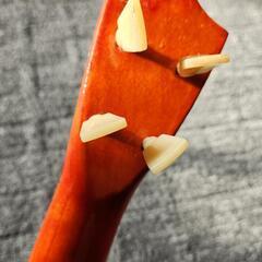 ウクレレの画像