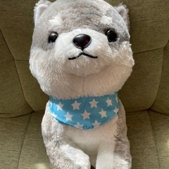 ぬいぐるみの画像