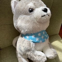 ぬいぐるみの画像