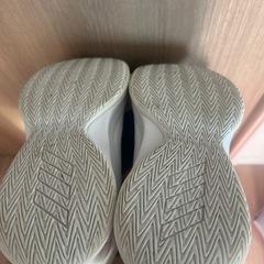 バスケットボールシューズ　バッシュ　22cmの画像
