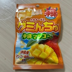 沖縄　グミ　マンゴー味