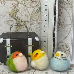 インコセットの画像